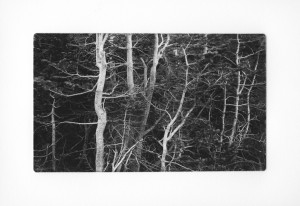 Sticks and Stones 16 